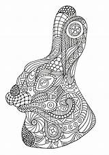 Zentangle Rabbit Lapin Adultos Malbuch Erwachsene Adulti Dessinée Tête Justcolor sketch template