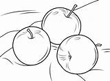 Apples Mele Tre Wuppsy Mela sketch template