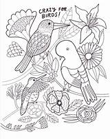 Birds Bird Activities Coloring Printables Crazy Sheet sketch template