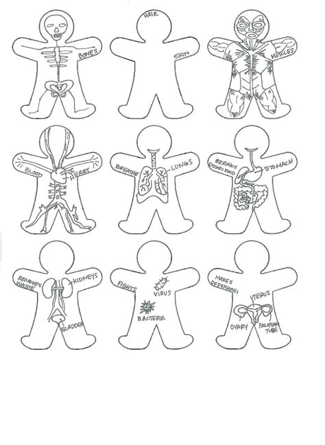 body parts coloring pages  preschool  getcoloringscom