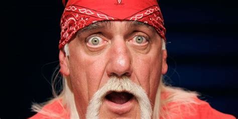 News Hulk Hogan Dropped From Wwe 2k15 All Future Games Megagames