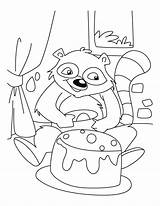 Raccoon Coloring Pages Celebrating Baby Racoon Birthday His Color Kids Drawing Library Clipart Getdrawings Popular sketch template