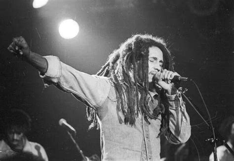 Bob Marley Live In Los Angeles 1979 Bob Marley