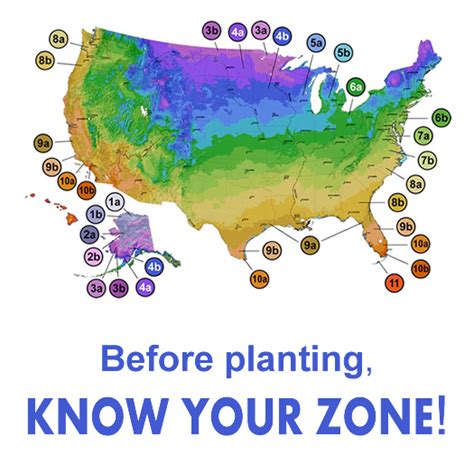 zone  planting black sea map