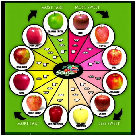 health benefits  apples   apples   great food  kids