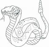 Snake Coloring Getdrawings Cobra Pages Color sketch template