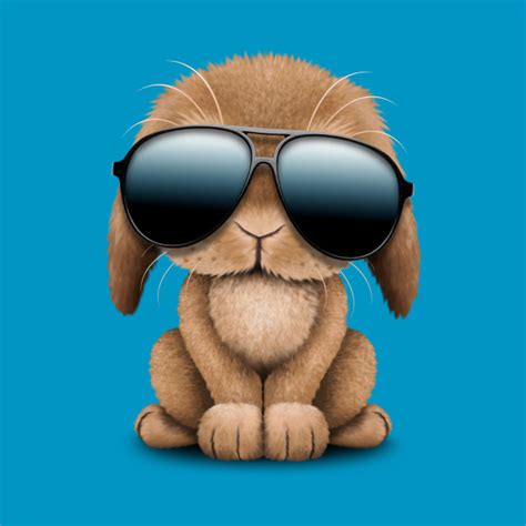 cute baby bunny wearing sunglasses bunny  shirt teepublic