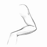 Arm Drawing Draw Left Muscle Sketch Easy Forearm Animation Drawings Woman Tutors Started Anatomy Progress Ma Tattoos Work Clipartmag sketch template