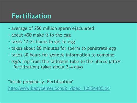 Ppt The Reproductive System Pregnancy Powerpoint Presentation Free