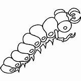 Centipede Coloring Getdrawings sketch template