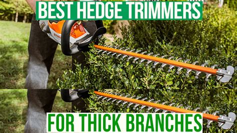 Best Hedge Trimmers For Thick Branches Our Top Picks Youtube
