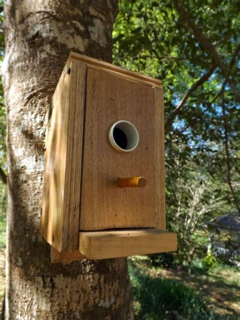 build bird house   contribute  wildlife avso