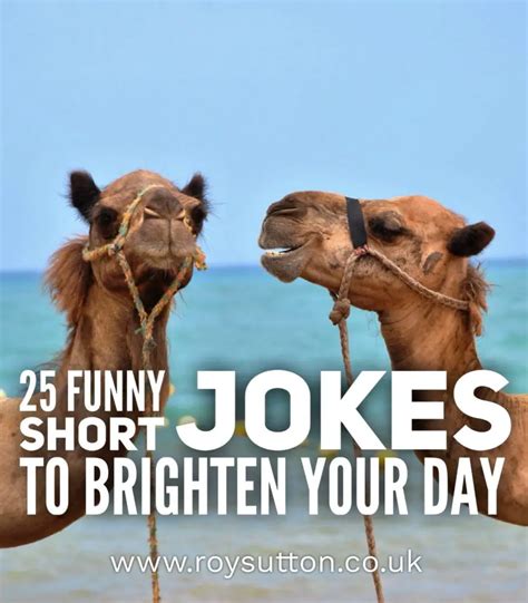 funny short jokes  brighten  day roy sutton