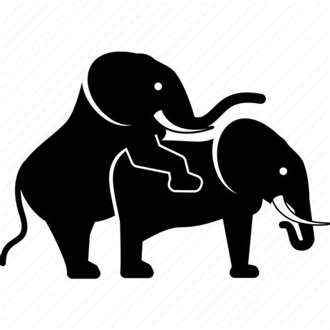 Elephant And Elephant Sex