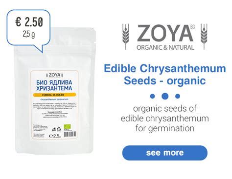 zoya organic shop natural foods  cosmetics