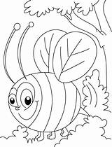 Mewarnai Bee Lebah Paud Abelha Ayo Macam Insect Temukan Aneka Ini Bestcoloringpages sketch template
