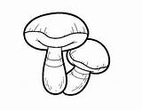 Seta Cogumelo Colorear Suillus Setas Desenho Fungo Champignon Dibuix Mushroom Acolore Coloritou Dibuixos sketch template