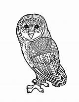 Sheets Hedwig Twu sketch template