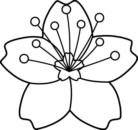 flower outline hot sex picture