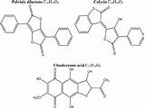 Chemicals Lichen sketch template