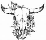 Skull Drawing Cow Longhorn Sketch Desert Roses Drawings Outline Redbubble Sketches Paintingvalley sketch template