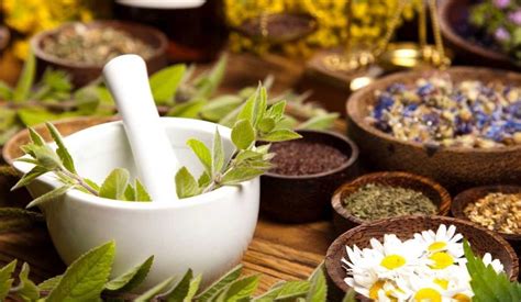 5 Tanaman Obat Herbal Untuk Kesehatan Yang Jarang Diketahui