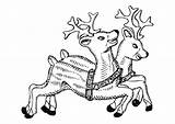 Reindeer Coloring Pages sketch template