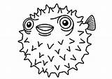 Puffer Porcupine Pufferfish Getdrawings Kidsplaycolor sketch template