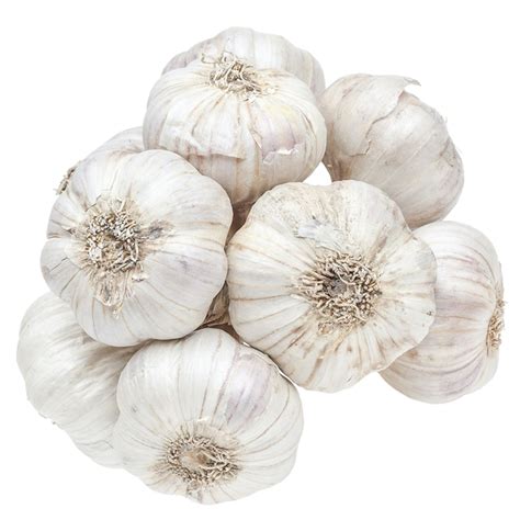 fresh natural pure white garlicthailand price supplier food