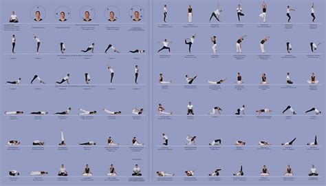 beginners guide  hatha yoga