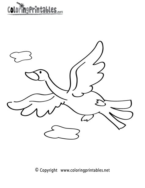 bird coloring page printable bird coloring pages animal coloring
