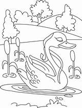 Coloring Duck Pages Pond Kids Lonely Drawing Color Domestic Animals Sheets Colouring Animal Club Visit Frogs Books Cool Life Getdrawings sketch template