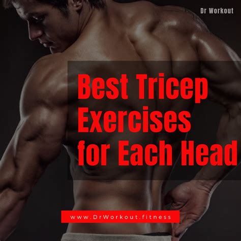 science based triceps exercises    heads dr workout