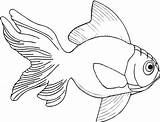 Fish Drawing Drawings Line Clipart Coloring Cliparts Library Clip Goldfish Colouring Pages Designs Books Clipartbest Realistic Walleye Bowl Sheet Tattoo sketch template