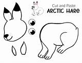 Arctic Hare Toddlers Preschoolers Simplemomproject sketch template