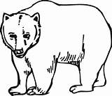 Urs Colorat Grizzly Osos Colorear Planse Desene sketch template