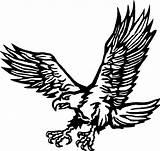Aguila Eagle Aigle Adler Shaheen águila Printablefreecoloring Pngkit Coloreardibujosgratis Hierba Pasto águilas Colorea Favpng sketch template