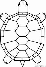Terrapin Coloringall Reptiles Snapping sketch template