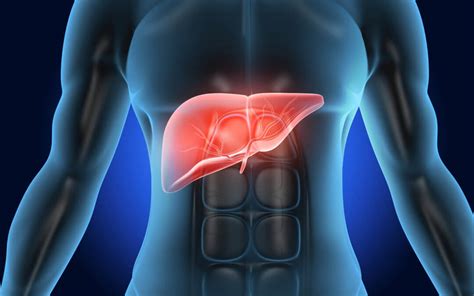 functions   liver  signs    detox patriotdirect
