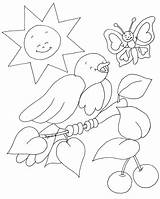 Colorir Natureza Desenhos Passarinhos Passaros Passarinho Pássaros Passaro Educação Onlinecursosgratuitos Rieur Oiseau Meio Goreti Gravuras sketch template