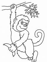 Monkey Coloring Singe Banana Affe Coloriages Coloringhome Getdrawings Kostenlos Clipartsco sketch template