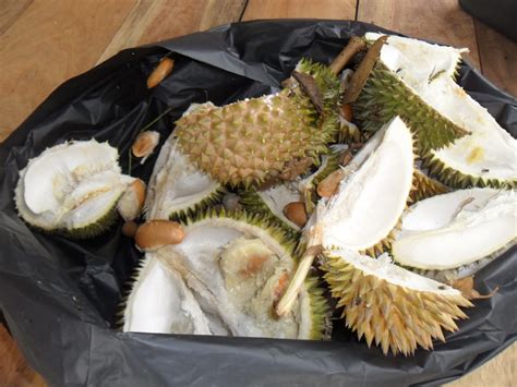 Mutiara Kaunseling Program Makan Durian