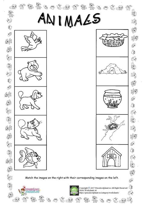 animal worksheet  kids kindergarten worksheets animal worksheets