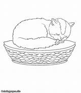 Cradle Kitten Coloringpages sketch template