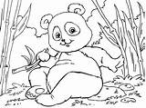 Panda Asie Malvorlage Kleurplaat Coloring Bamboe Toupty Disegni Colorare Ausdrucken Ausmalbild Kea Besten Coloriages Malvorlagen Salvajes Schulbilder Schoolplaten sketch template