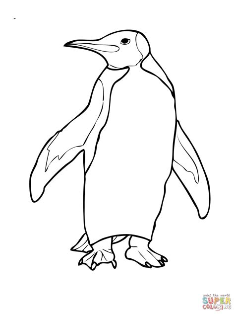 king penguin coloring page penguin coloring bird coloring pages