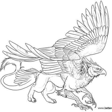 griffin coloring pages  printable coloring pages