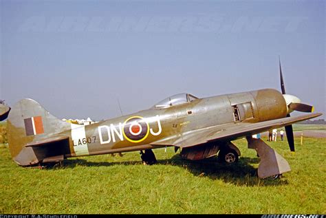 hawker tempest mk untitled aviation photo  airlinersnet