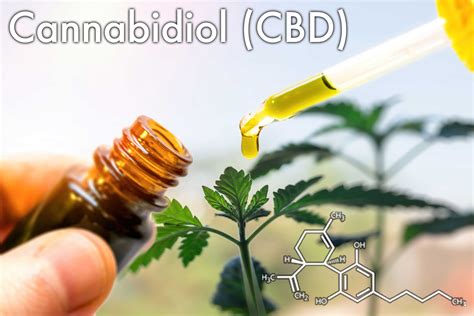 ⋆ can you use cbd oil as lube [sexual wellness guide] ⋆ cbdmagnates