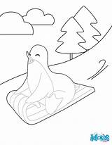 Sledding Pingouin Coloriage Hellokids Sled Igloo Sheets Animaux Penguins sketch template
